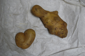 heart-poteto.jpg