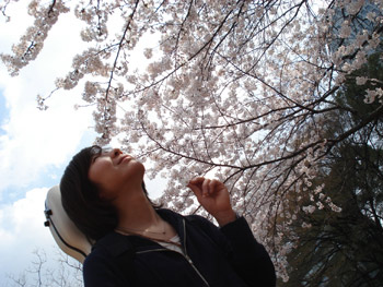 080326sakura.jpg