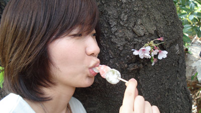 080406dango.jpg
