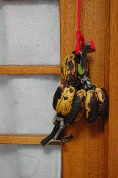 100206banana.jpg