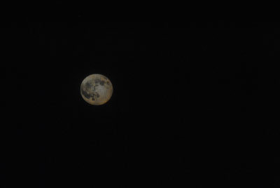 100825moon.jpg