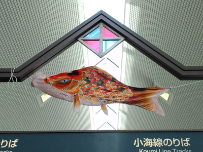 110505sakukoinobori.jpg