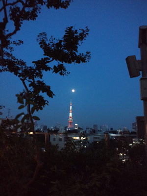 110615tokyo_tower_mini.jpg
