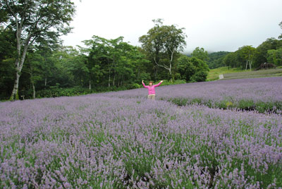 110819Lavender1.jpg