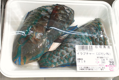 130203irabucha_sakana.jpg