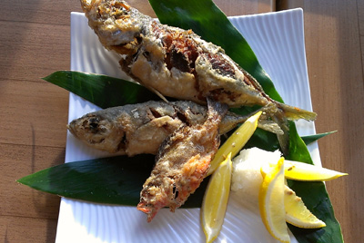 130701aji.jpg