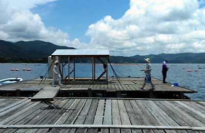 130701ikadanoue.jpg