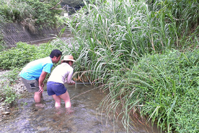130704tangatori.jpg