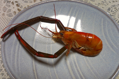 130704yakitanga.jpg