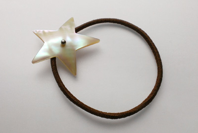130706hoshi.jpg