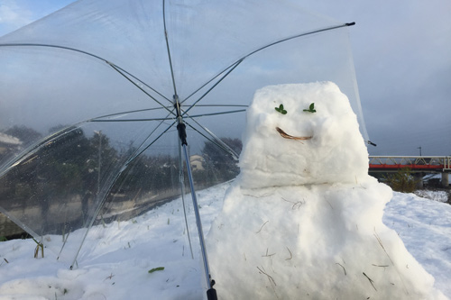 201611snowman.jpg